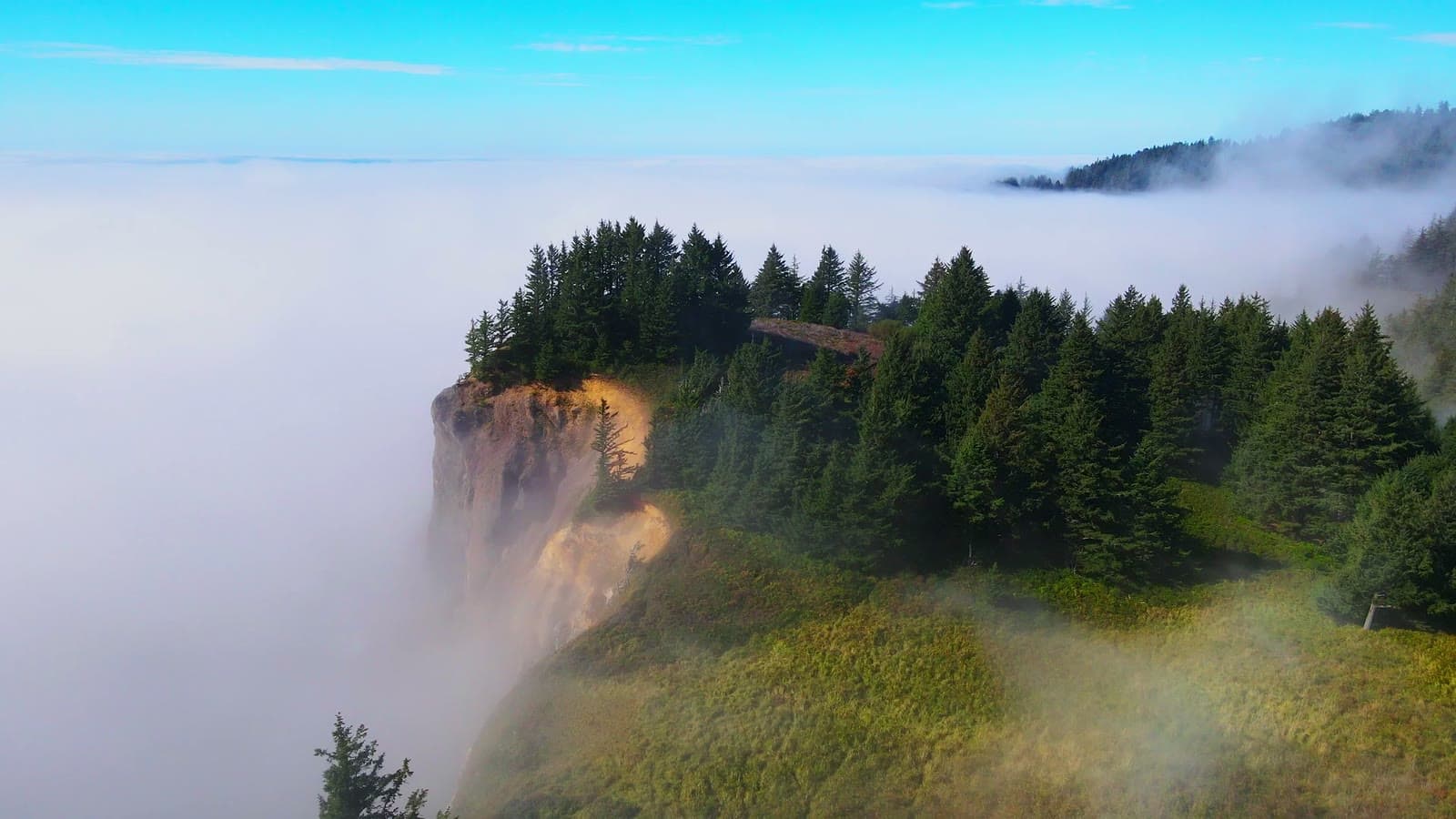 Oregon coast, Drone video