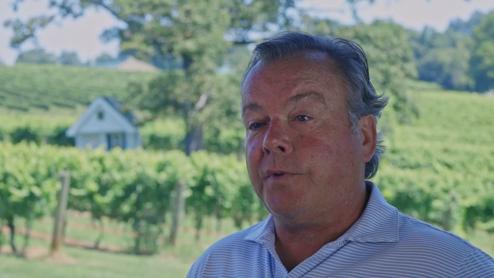 Shelton Vineyards, Interview