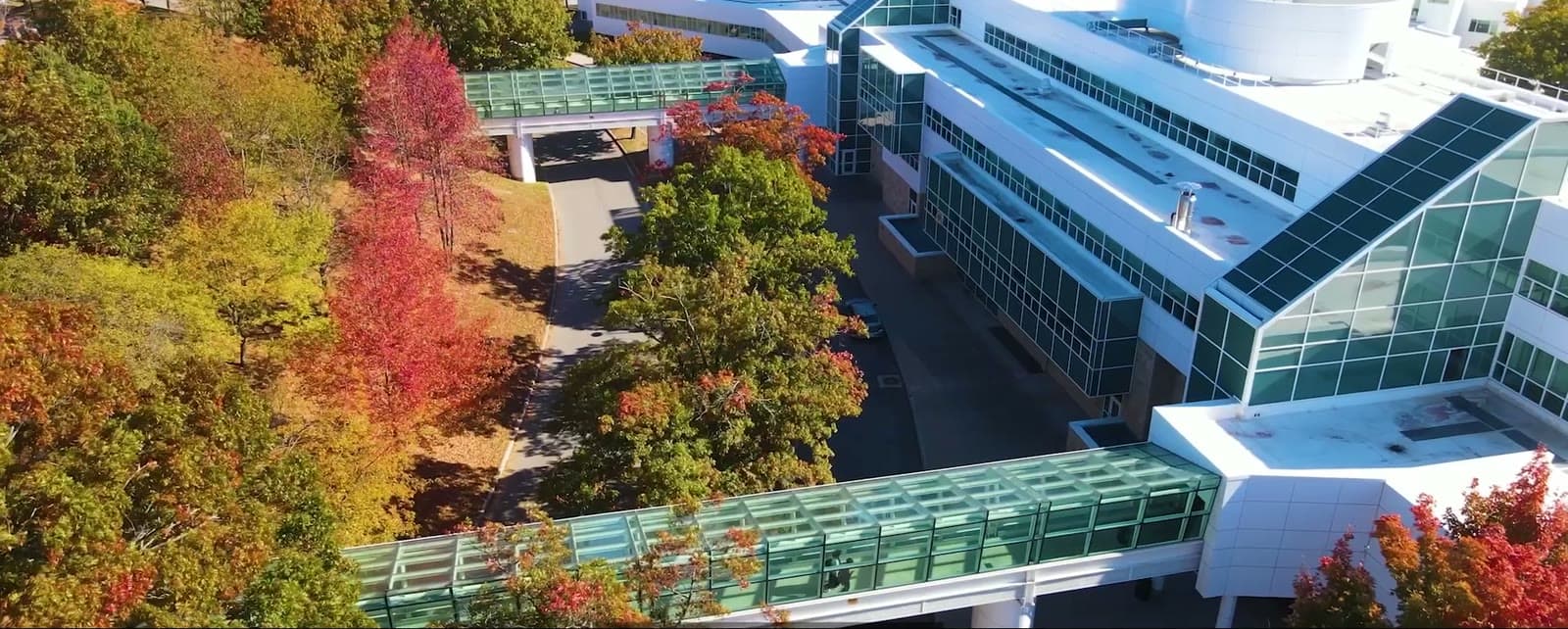 SUNY Old Westbury, Commercial